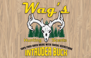 Wags Hunting Scents - Intruder Buck